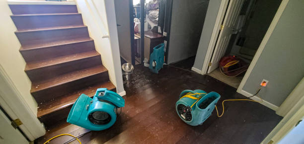  Braddock, PA Water damage restoration Pros