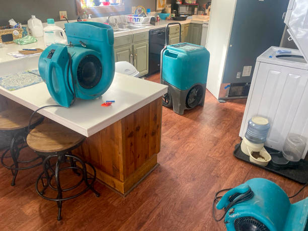 Best Ceiling water damage repair  in Braddock, PA