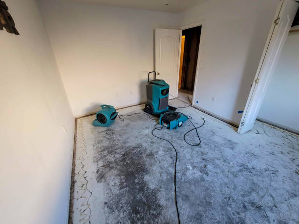 Best Water damage restoration experts  in Braddock, PA