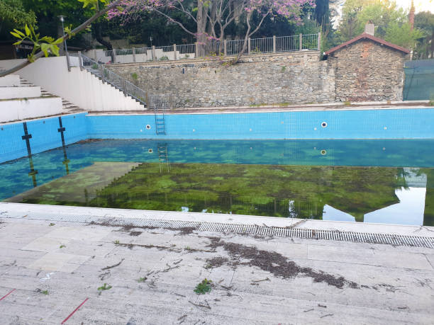Best Flood restoration services  in Braddock, PA