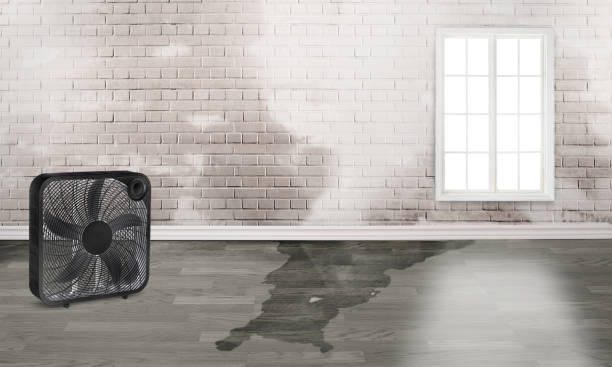 Best Emergency water damage restoration  in Braddock, PA