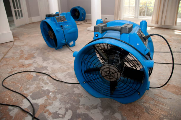 Best 24-hour water damage restoration  in Braddock, PA