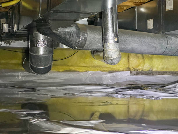 Best Carpet water damage restoration  in Braddock, PA