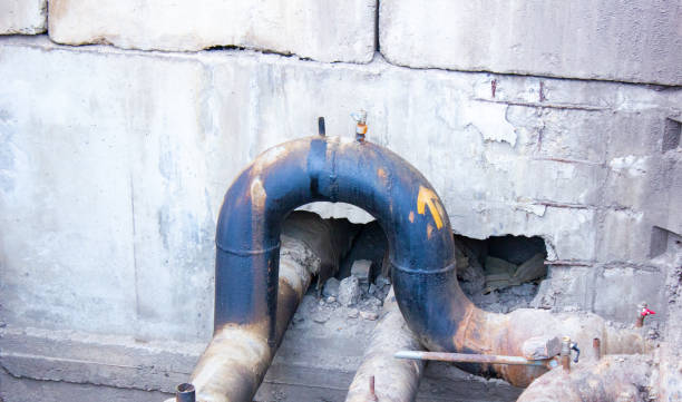 Best Water damage restoration services  in Braddock, PA