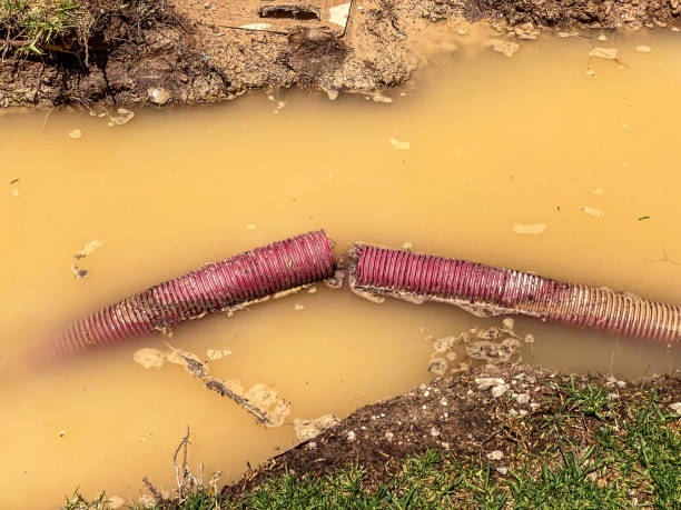 Best Sewage cleanup and water damage restoration  in Braddock, PA
