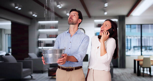 Best Flooded house restoration  in Braddock, PA