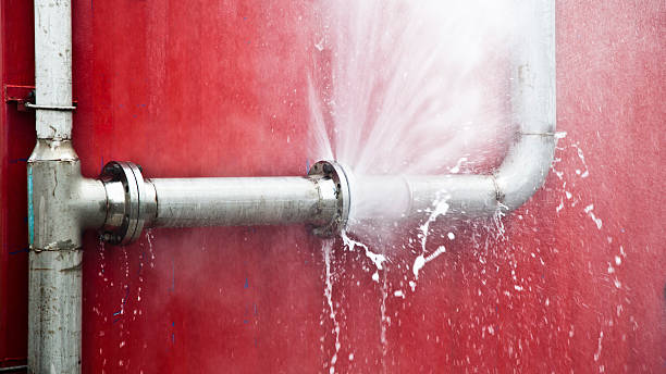 Best Mold removal after water damage  in Braddock, PA